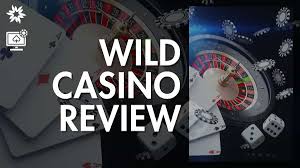 Wild Joker Online Casino: In-Depth Evaluation of Gamings, Rewards, and Customer Experience